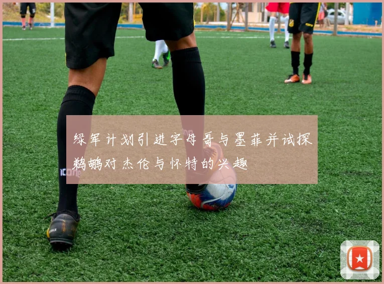 绿军计划引进字母哥与墨菲并试探鹈鹕对杰伦与怀特的兴趣