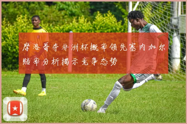 摩洛哥夺非洲杯概率领先塞内加尔赔率分析揭示竞争态势